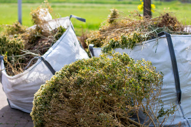 Best Full-Service Junk Removal  in St Lawrence, PA